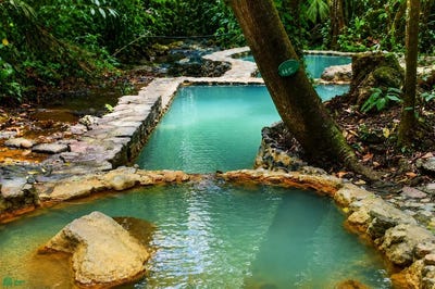 /international/cr/san-carlos-quesada-alajuela-province-310102548041/