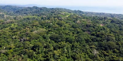 /international/cr/blue-horizon-highland-between-cabuya-and-malpais-cabuya-puntarenas-310103765558/