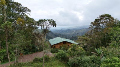 /international/cr/valley-view-mountain-retreat-chimirol-rivas-san-jose-310098386957/