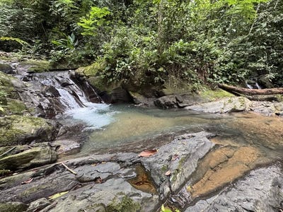 /international/cr/23-5-acre-waterfall-riverfront-estate-bahia-ballena-osa-peninsula-cortes-puntarenas-310101690023/