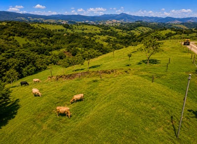 /international/cr/la-chiripa-tilaran-guanacaste-tilaran-guanacaste-tilaran-guanacaste-province-310108648355/