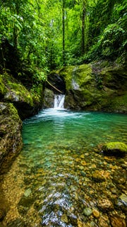 /international/cr/finca-de-bosque-la-tigra-san-carlos-alajuela-san-carlos-alajuela-province-310098353900/