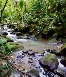 /international/cr/4-2-acres-with-house-and-creek-beautiful-property-with-creek-and-house-san-lorenzo-alajuela-province-310099340642/?lang=zh-cn