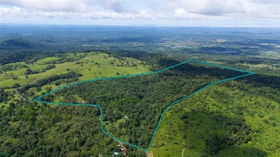 /international/cr/bijagua-bijagua-alajuela-province-310108432802/