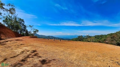 /international/cr/finca-42-acres-san-isidro-del-general-perez-zeledon-san-jose-perez-zeledon-san-jose-310101247683/?lang=zh-tw