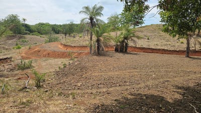 /international/cr/463p-w2-cuajiniquil-guanacaste-province-310108284205/