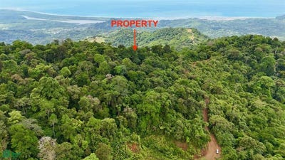 /international/cr/ojochal-puerto-cortes-osa-puntarenas-osa-puntarenas-310106247093/