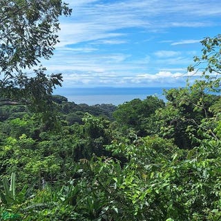 /international/cr/exceptional-ocean-mountain-view-property-in-pinuela-arriba-bahia-ballena-osa-puntarenas-osa-puntarenas-310101154296/?lang=es
