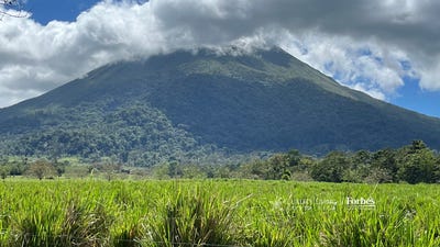 /international/cr/la-fortuna-la-fortuna-alajuela-province-310107560290/