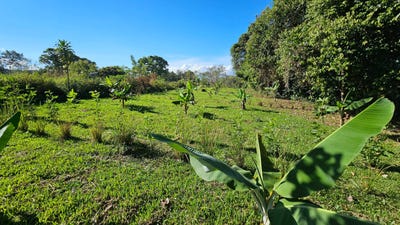 /international/cr/playa-verde-creekside-lot-santa-elena-alajuela-province-310105739860/