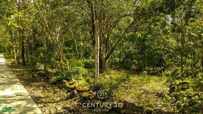 /international/cr/poza-blanca-s-n-san-mateo-san-mateo-alajuela-san-mateo-alajuela-province-310093218190/