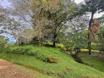 /international/cr/puntarenas-ojochal-phase-6-lot-f10-ojochal-puntarenas-ojochal-puntarenas-province-310102704853/