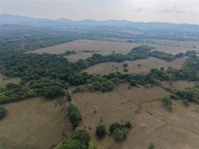 /international/cr/rancho-cartagena-lot-45c-tempate-guanacaste-province-310107472502/