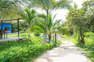 /international/cr/matapalo-cabo-velas-santa-cruz-guanacaste-santa-cruz-guanacaste-province-310094952840/