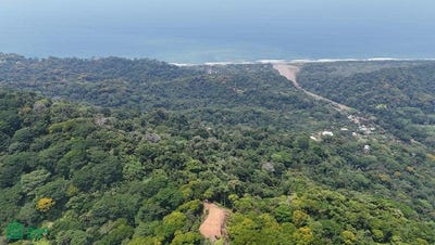 /international/cr/rivers-jungle-waterfalls-and-ocean-views-puntarenas-puntarenas-310107497588/