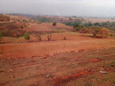 /international/cr/the-jewel-of-grecia-20m2-10-hectares-of-unlimited-potential-puente-de-piedra-alajuela-province-310108160053/