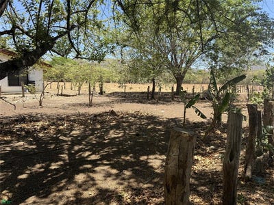 /international/cr/potrero-eastside-lot-santa-cruz-guanacaste-province-310108103589/