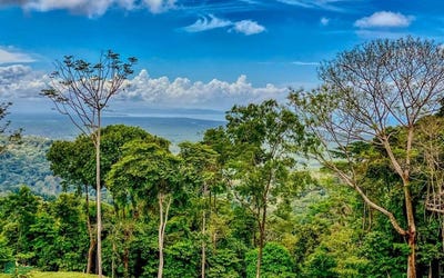 /international/cr/-puerto-cortes-osa-puntarenas-osa-puntarenas-310101875648/
