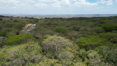 /international/cr/land-for-sale-in-liberia-guanacaste-liberia-guanacaste-province-310108809384/