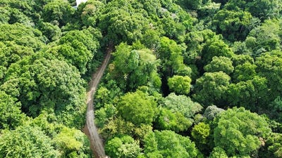 /international/cr/unique-property-with-creek-and-waterfall-in-lush-jungle-mountain-home-construction-site-for-sale-in-damas-damas-puntarenas-310108641499/