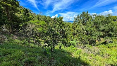 /international/cr/home-construction-site-for-sale-in-san-rafael-norte-san-rafael-norte-san-jose-310108484907/
