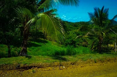 /international/cr/la-reserva-lot-17-playa-camaronal-guanacaste-province-310098387365/