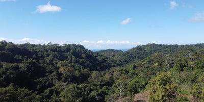 /international/cr/oceanview-development-opportunity-in-santiago-santiago-santa-teresa-alajuela-province-310104563600/