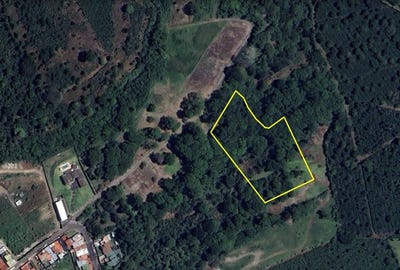 /international/cr/san-rafael-de-heredia-san-rafael-heredia-san-rafael-heredia-province-310105807289/