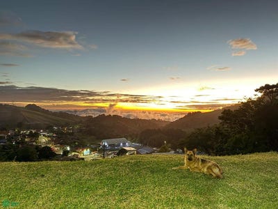 /international/cr/ruta-nacional-141-zarcero-alajuela-province-310108926234/?lang=zh-tw