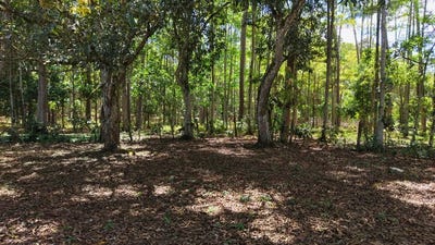/international/cr/home-construction-site-for-sale-in-rio-nuevo-rio-nuevo-san-jose-310106682578/