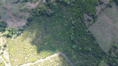 /international/cr/de-la-igleseia-rios-de-agua-viva-en-rio-seco-de-parrita-680-noroeste-y-1150-suroeste-parrita-puntarenas-parrita-puntarenas-310107498215/