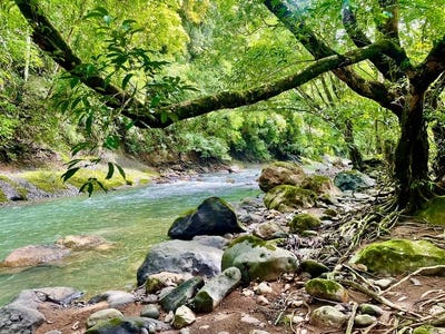 /international/cr/property-for-sale-for-tourism-development-with-river-in-orotina-alajuela-costa-rica-orotina-alajuela-province-120093325802/