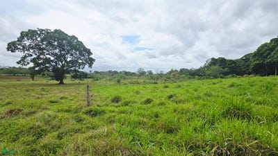 /international/cr/rio-celeste-lot-near-bijagua-katira-alajuela-province-310108326608/