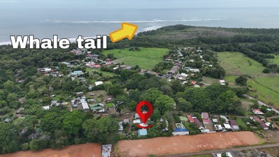 /international/cr/puntarenas-bahia-ballena-osa-puntarenas-osa-puntarenas-310108704422/