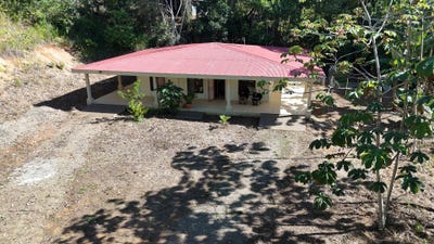 /international/cr/alto-san-juan-entrada-a-pacuarito-500-mts-de-carretera-primcipal-perez-zeledon-san-jose-perez-zeledon-san-jose-310108529954/
