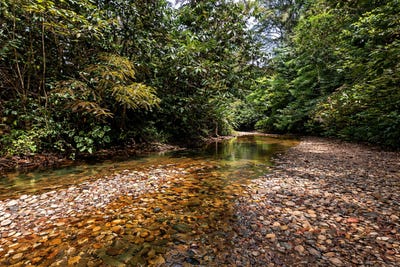 /international/cr/villa-nueva-naranjito-quepos-quepos-puntarenas-quepos-puntarenas-310106599012/