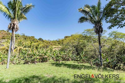 /international/cr/la-reserva-lot-110-playa-camaronal-guanacaste-province-310098387237/