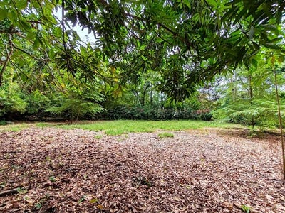 /international/cr/id-1044-build-ready-land-between-cahuita-national-park-and-puerto-viejo-puerto-viejo-limon-province-310107364163/