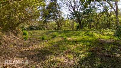 /international/cr/samara-woods-samara-guanacaste-samara-guanacaste-province-310104135322/
