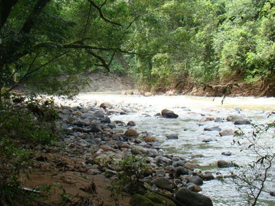 /international/cr/orotina-cuatro-esquinas-orotina-alajuela-orotina-alajuela-province-310106549330/