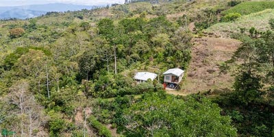 /international/cr/tuis-tuis-cartago-province-310106689075/
