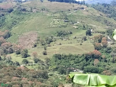 /international/cr/ruta-224-orosi-paraiso-orosi-cartago-province-310106521309/
