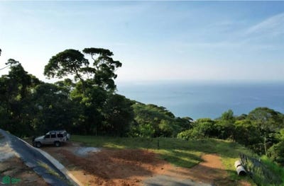 /international/cr/luxury-ocean-view-property-in-costa-verde-estates-bahia-ballena-osa-puntarenas-osa-puntarenas-310093516018/