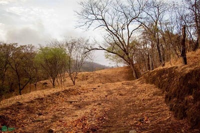 /international/cr/hacienda-san-antonio-sardinal-carrillo-guanacaste-sardinal-guanacaste-province-310103221349/