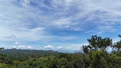 /international/cr/exquisite-jungle-property-with-ocean-view-gated-community-in-ojochal-3exquisite-jungle-property-with-ocean-view-gated-community-in-ojochal-3-puerta-del-sol-ojochal-puntarenas-costa-rica-ojochal-puntarenas-310101471839/?lang=es