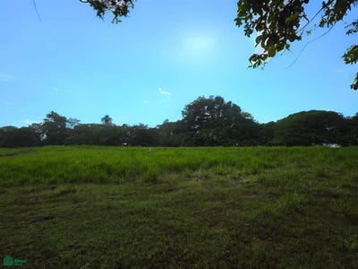 /international/cr/distintos-tamanos-solo-12-lotes-tempate-santa-cruz-guanacaste-santa-cruz-guanacaste-province-310102728154/