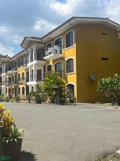 /international/cr/atenas-atenas-alajuela-province-310106487819/