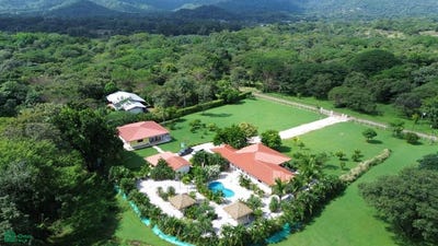 /international/cr/colibri-and-lorito-cartagena-santa-cruz-guanacaste-santa-cruz-guanacaste-province-310101283407/?lang=en