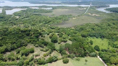 /international/cr/guapinol-canas-guanacaste-canas-guanacaste-province-120092124337/