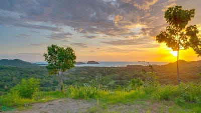 /international/cr/playa-potrero-playa-potrero-santa-cruz-guanacaste-santa-cruz-guanacaste-province-310099353446/